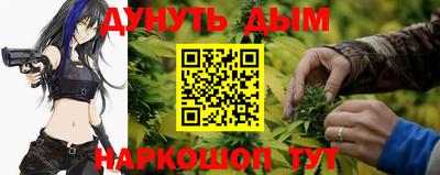 сатива Краснознаменск