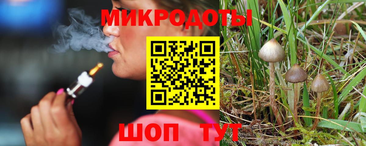 купить закладку  Вход с VPN  Галлюциногенные грибы GOLDEN TEACHER  Балашов  Галлюциногенные грибы Psilocybine cubensis 
